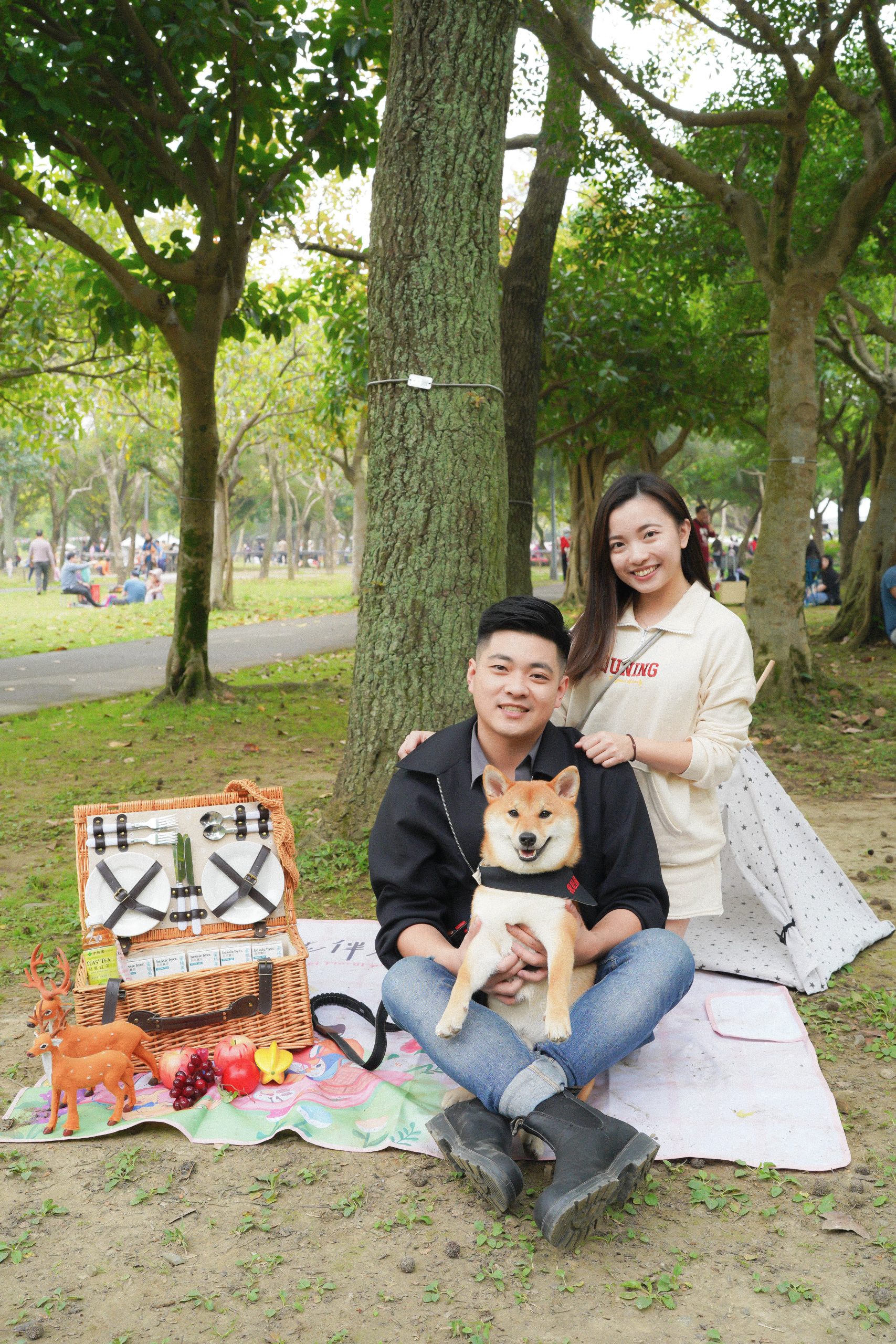 毛孩生活體驗家素材