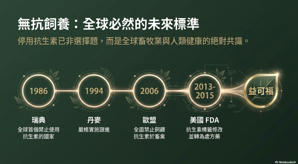 益可福提供的雞蛋產品照片